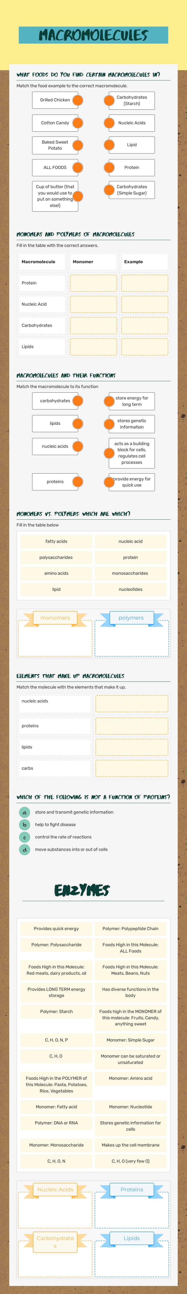 Macromolecules worksheet preview image