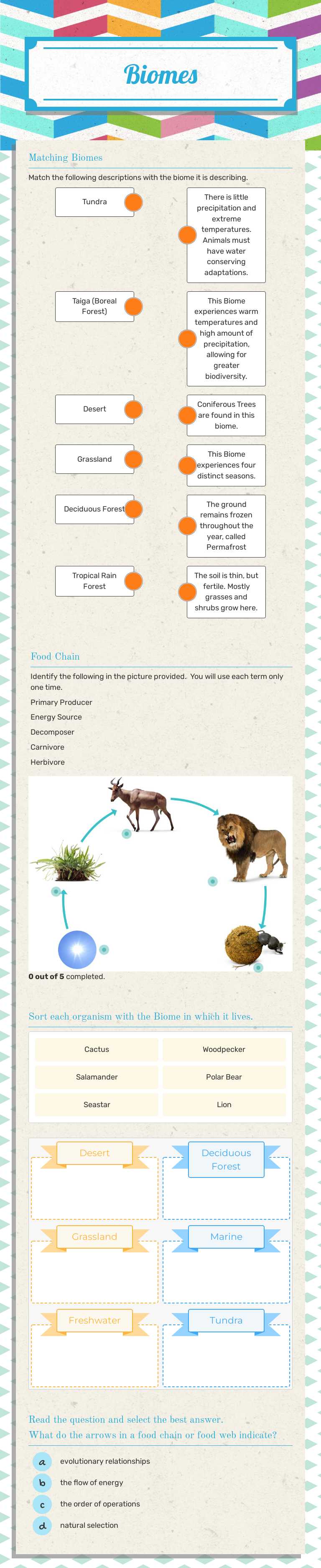 Biomes worksheet preview image