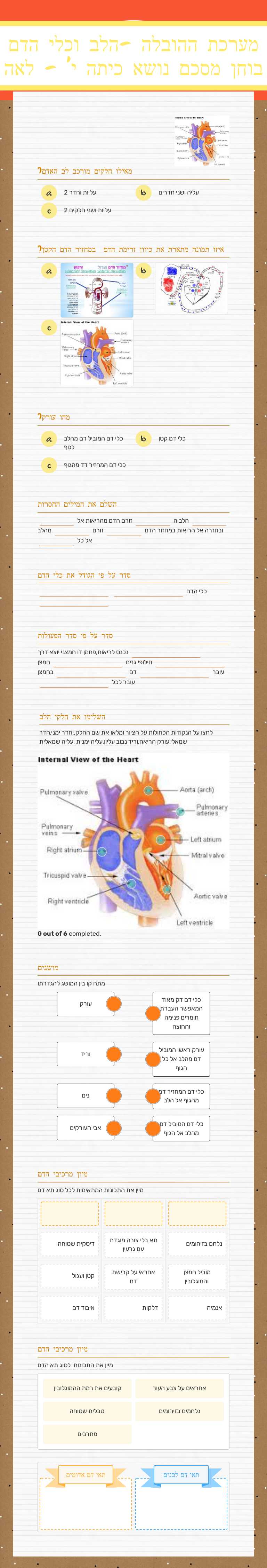 מערכת ההובלה -הלב וכלי הדם
 בוחן מסכם נושא כיתה י' - לאה worksheet preview image
