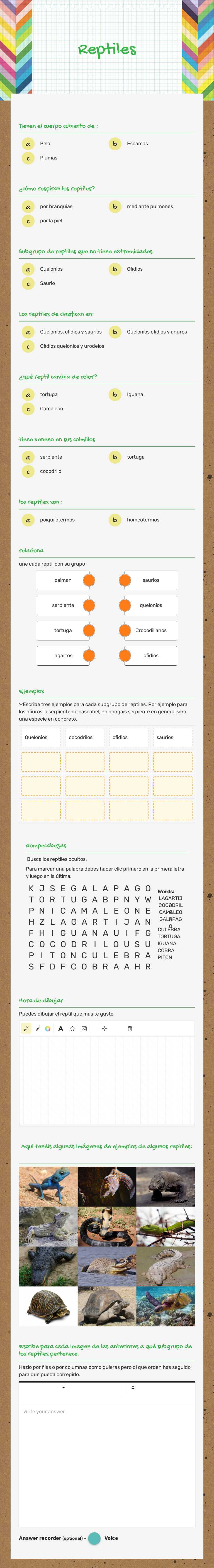 Reptiles worksheet preview