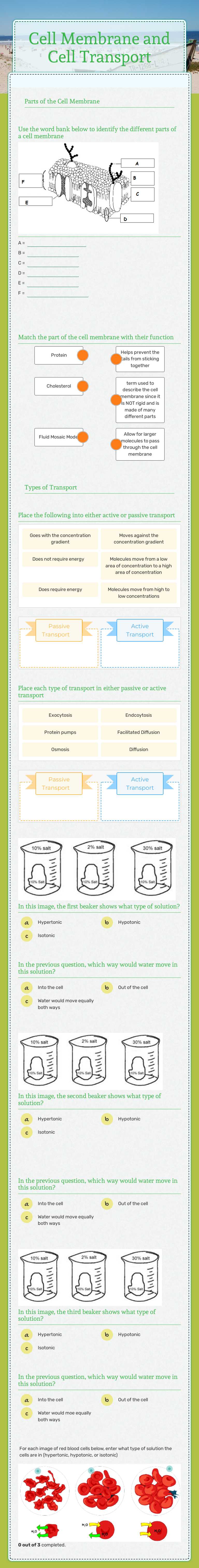 Cell Membrane and Cell Transport worksheet preview image