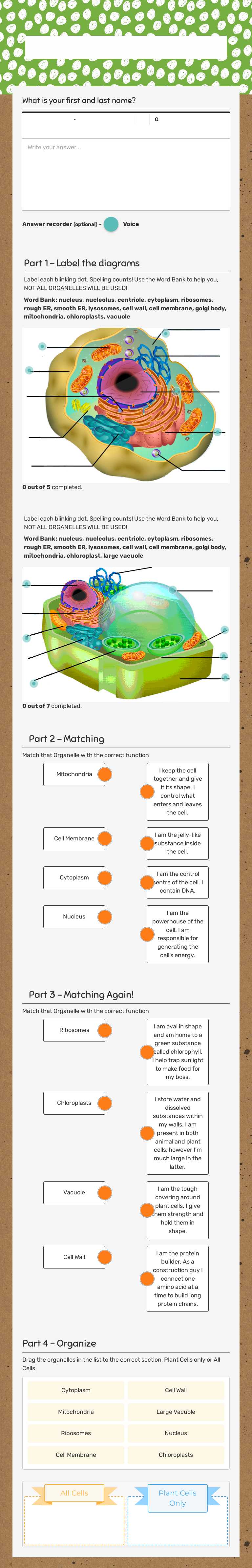 Cell organelles worksheet preview image