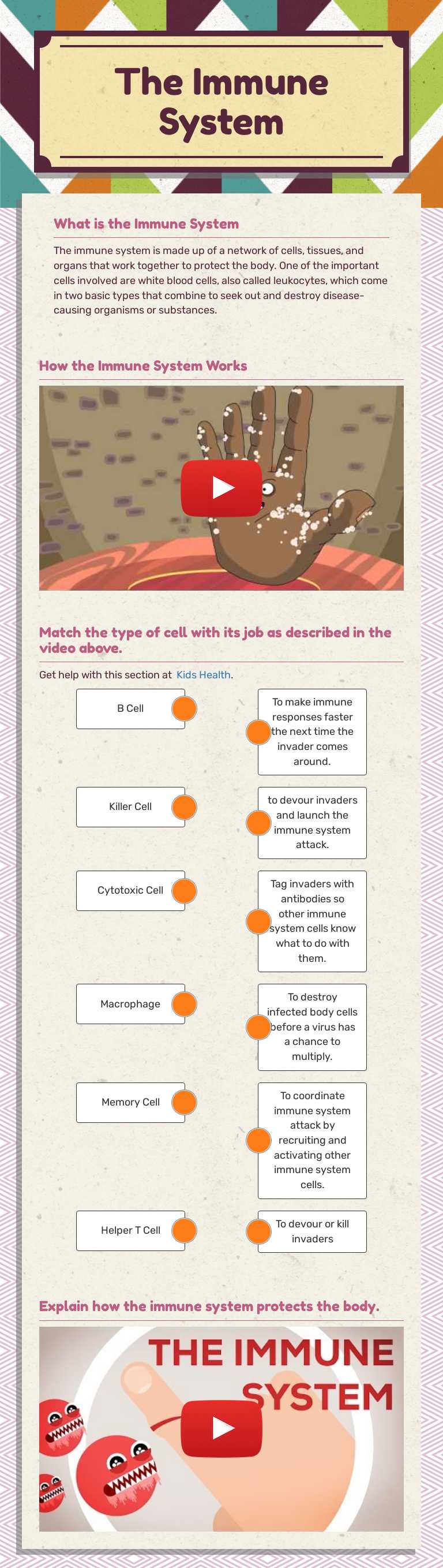 The Immune System worksheet preview image