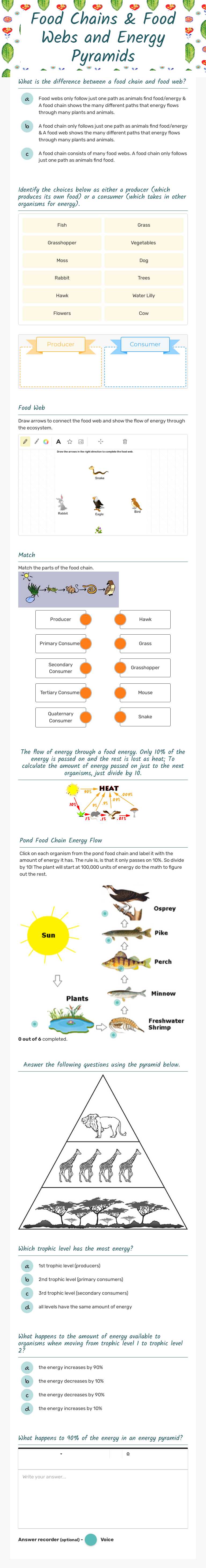 Food Chains & Food Webs and Energy Pyramids worksheet preview image