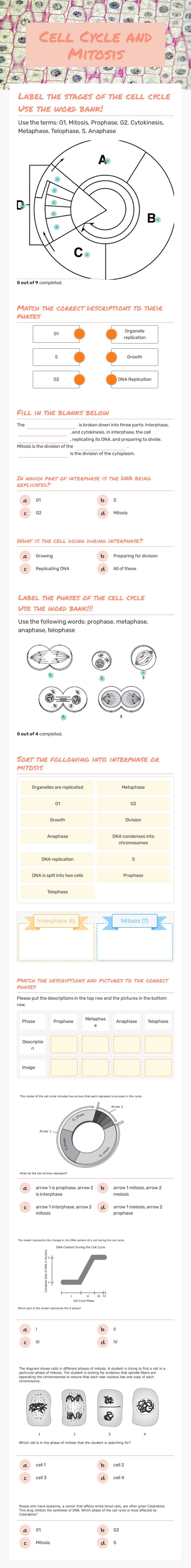 Cell Cycle and  Mitosis worksheet preview image
