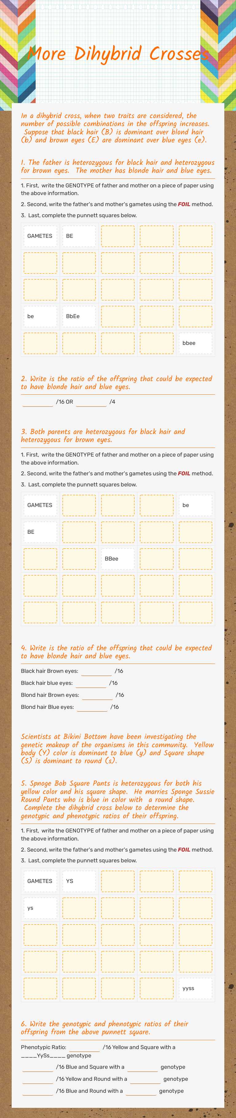 More Dihybrid Crosses worksheet preview image