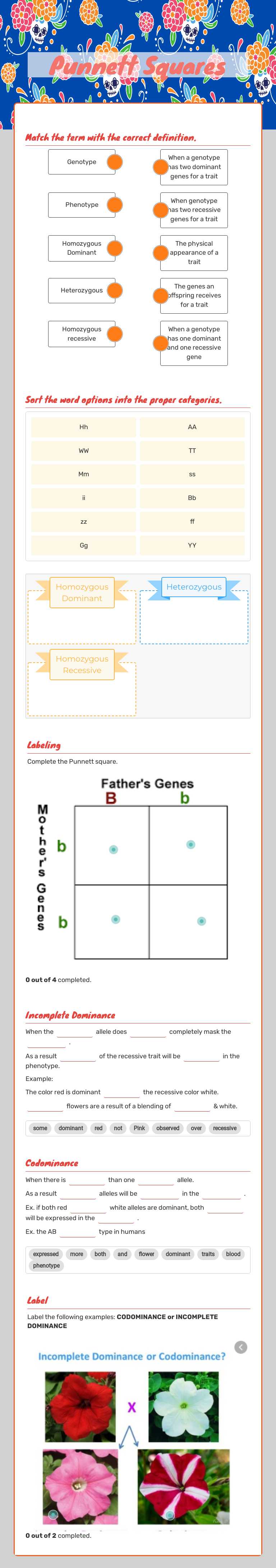 Punnett Squares worksheet preview image