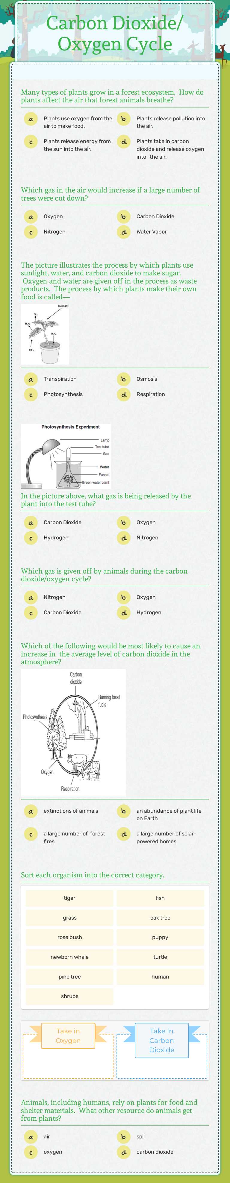 Carbon Dioxide/ Oxygen Cycle worksheet preview image