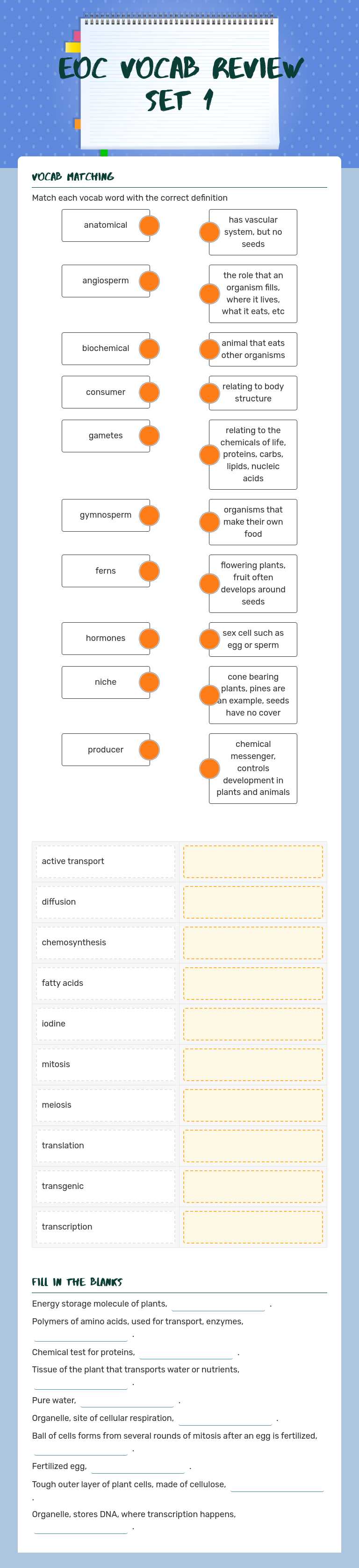 EOC Vocab Review Set 1 worksheet preview image