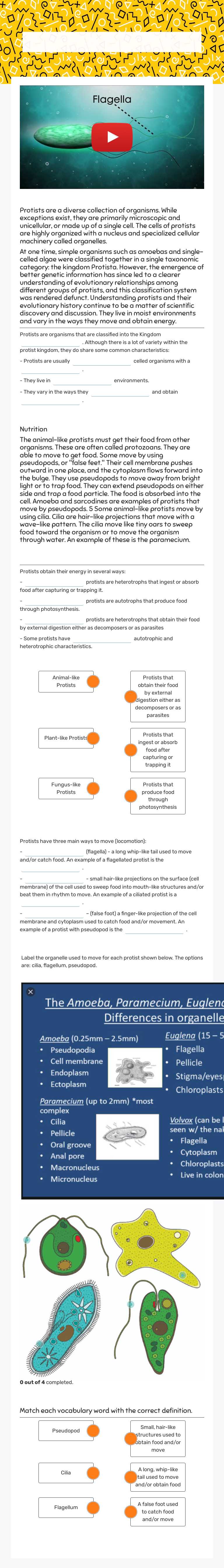 U2:L3 Protists worksheet preview image