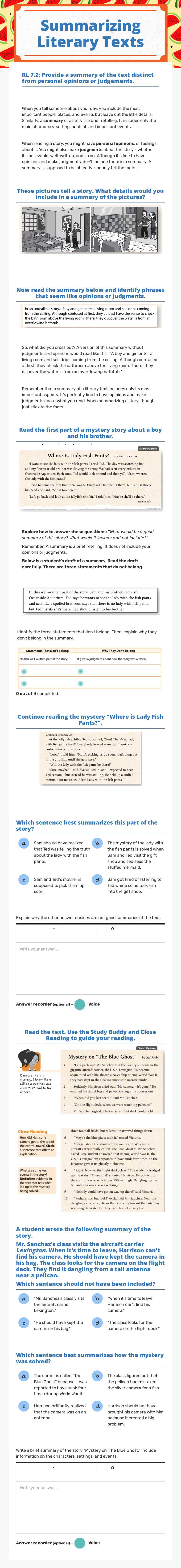 Summarizing Literary Texts worksheet preview image