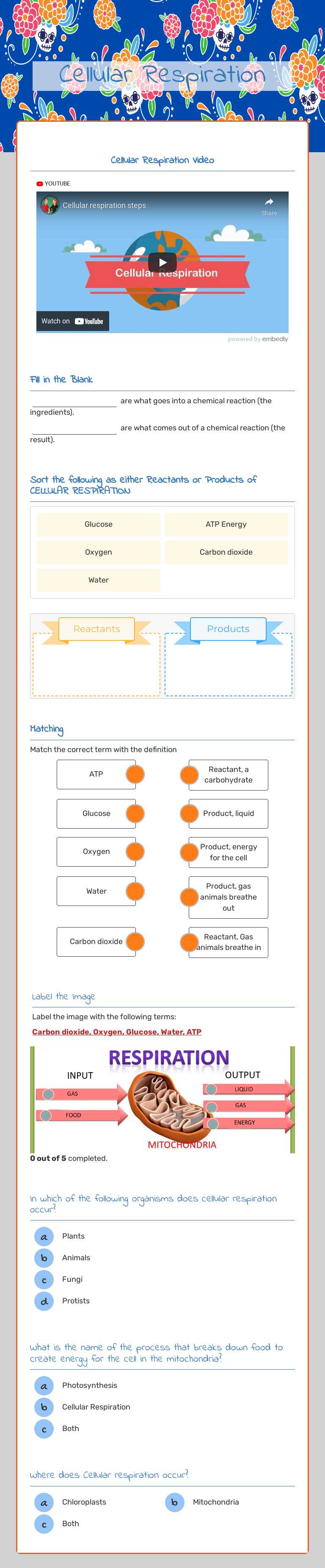 Cellular Respiration worksheet preview image