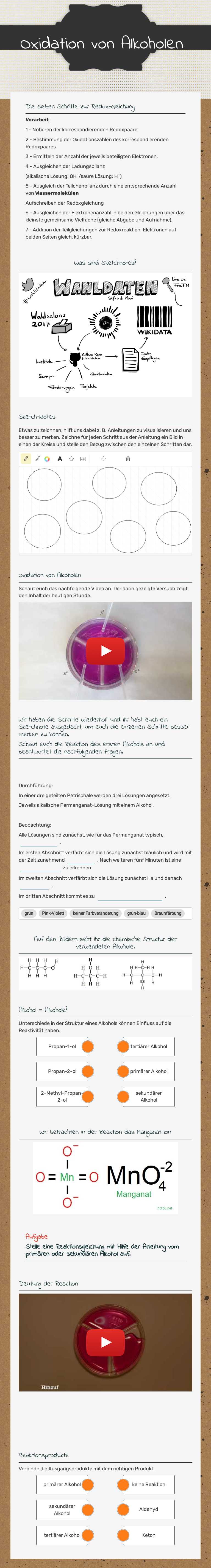 Oxidation von Alkoholen worksheet preview image