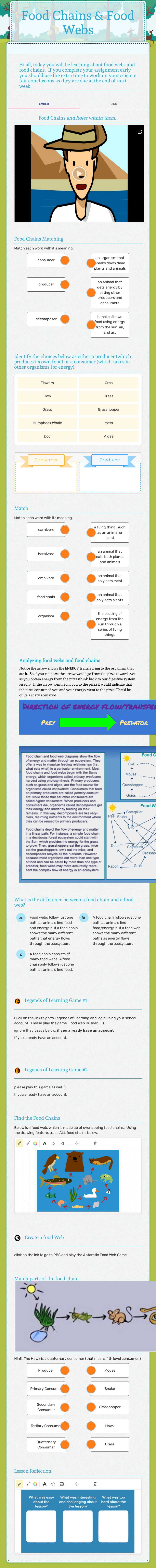 Food Chains & Food Webs Grade 9 worksheet preview
