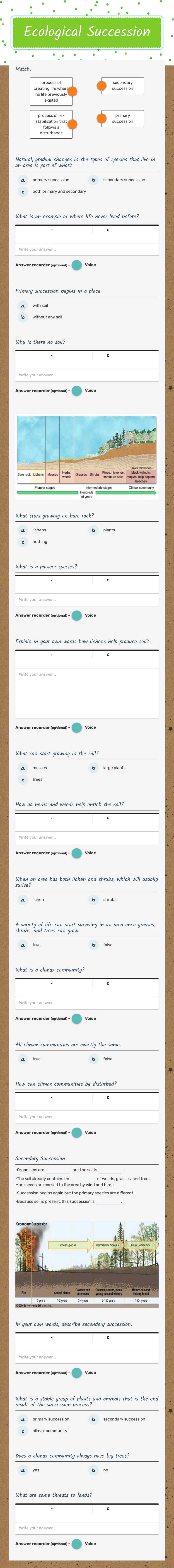 Ecological Succession worksheet preview image