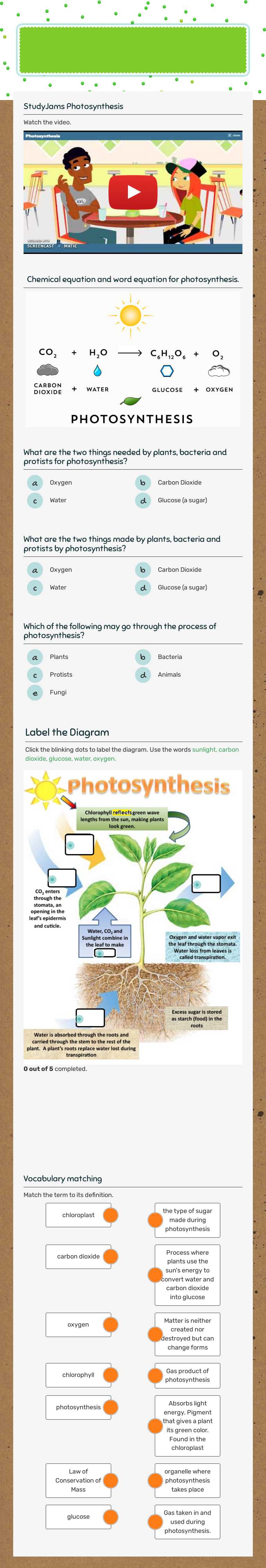 PHOTOSYNTHESIS worksheet preview image