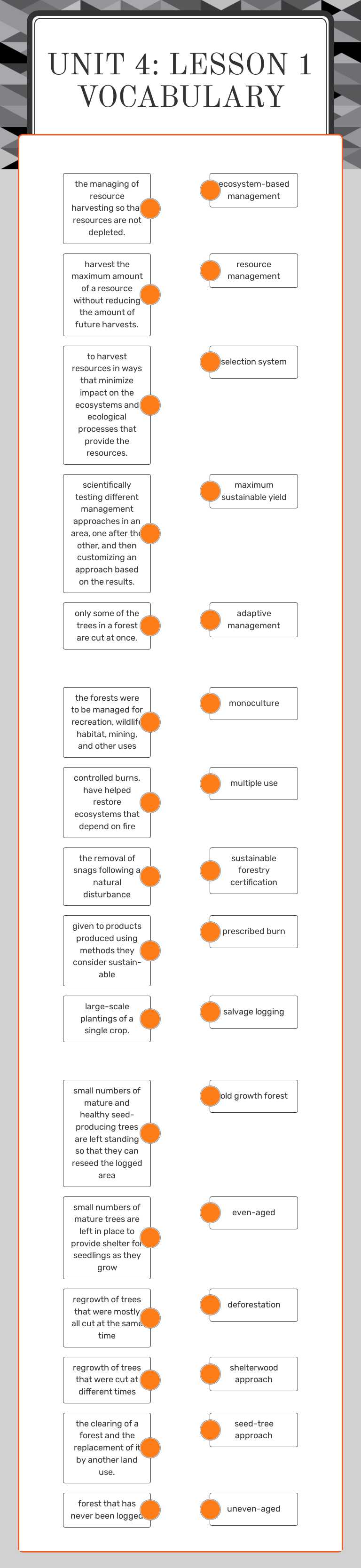 Unit 4: lesson 1 vocabulary worksheet preview image