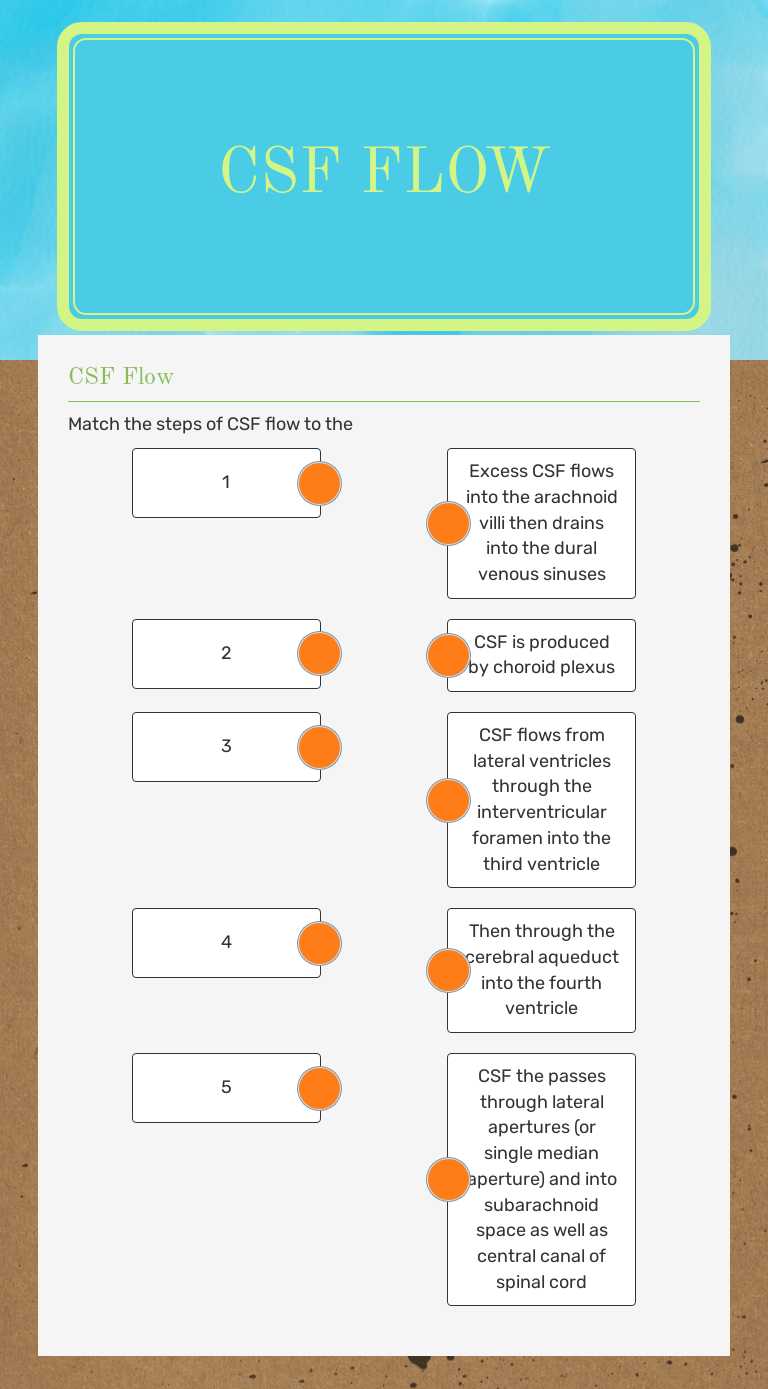 CSF Flow worksheet preview image