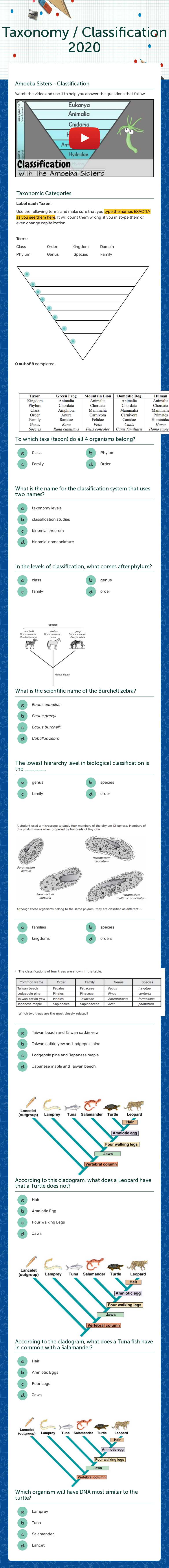 Taxonomy / Classification 2020 worksheet preview image