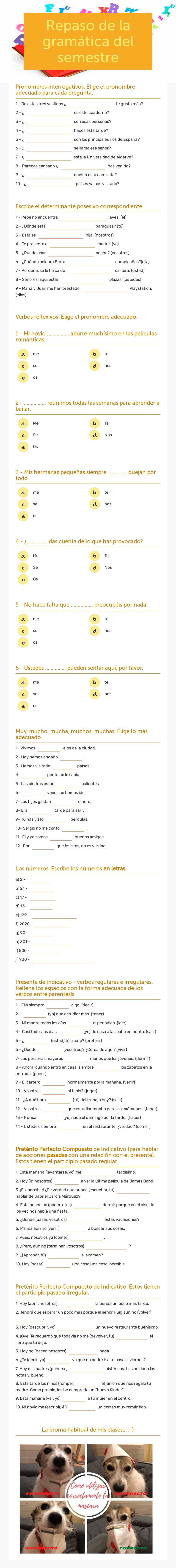 Repaso de la gramática del semestre worksheet preview image