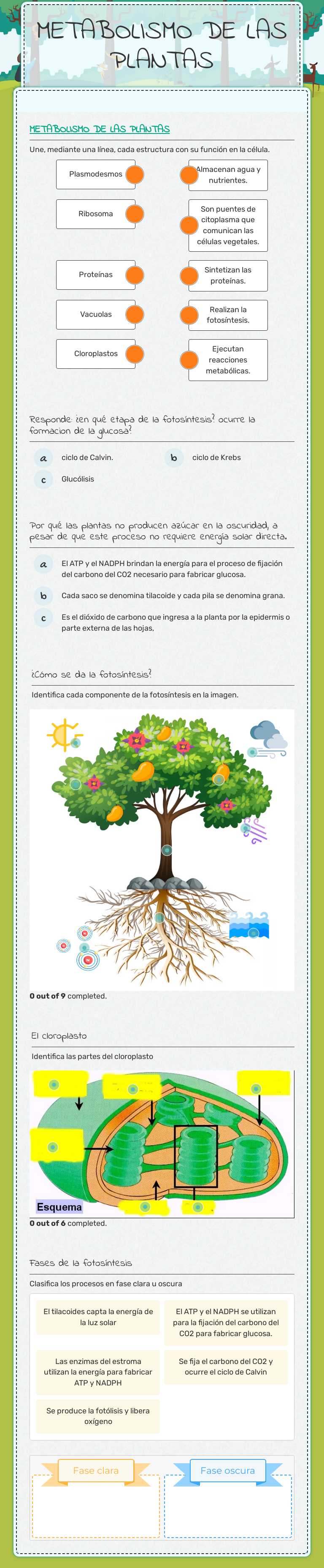 METABOLISMO DE LAS PLANTAS worksheet preview image