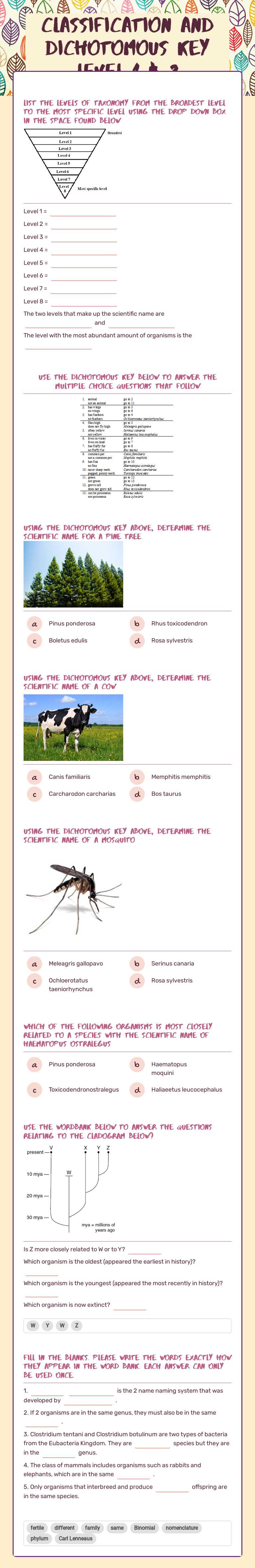 Classification and Dichotomous Key     
Level 1 & 2 worksheet preview image