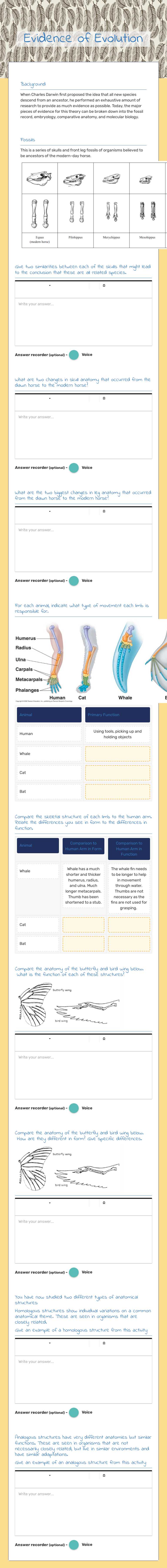 Evidence of Evolution worksheet preview image
