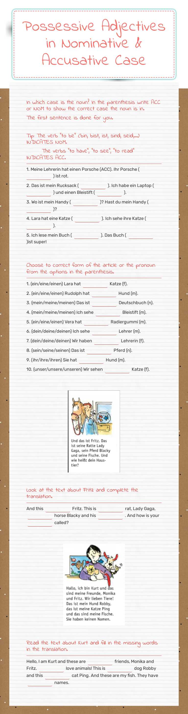 Possessive Adjectives in Nominative & Accusative Case worksheet preview image