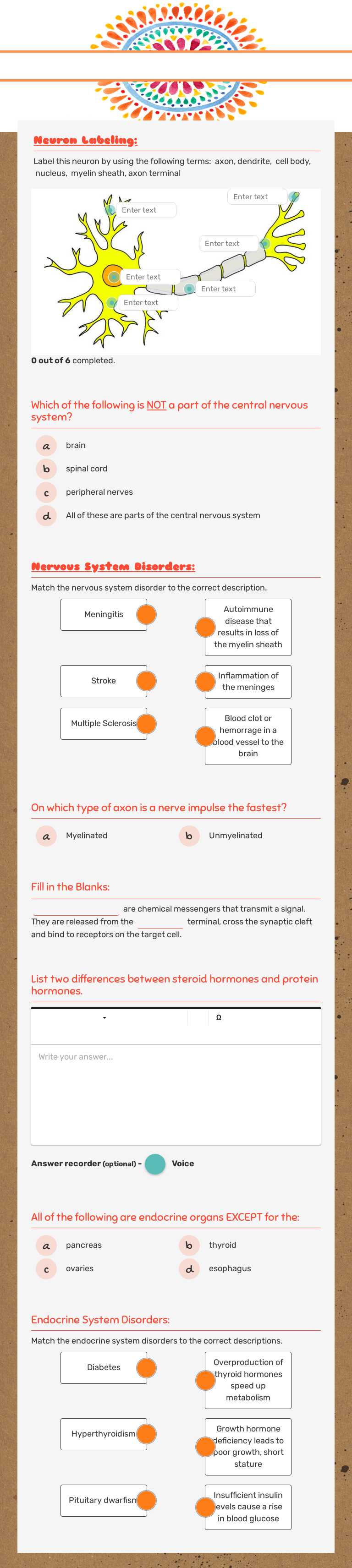 The Nervous and endocrine Systems worksheet preview image