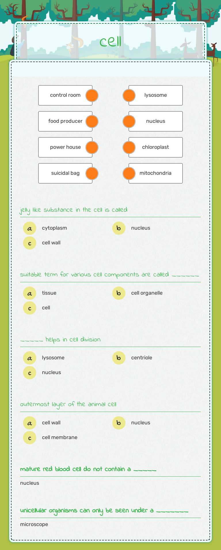 cell worksheet preview
