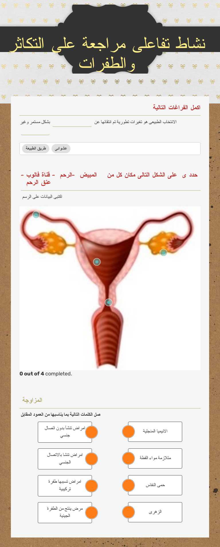 نشاط تفاعلى مراجعة على التكاثر والطفرات worksheet preview image
