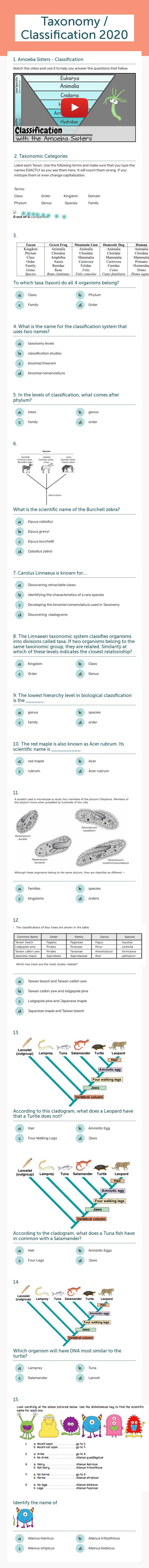 Taxonomy / Classification 2020 worksheet preview image
