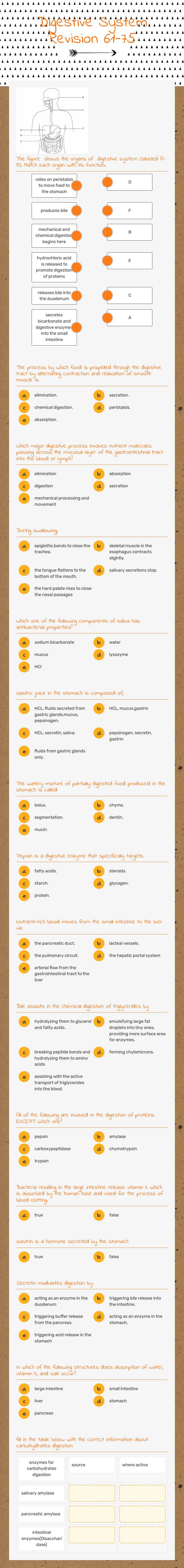 Digestive System Revision 61-75 worksheet preview image