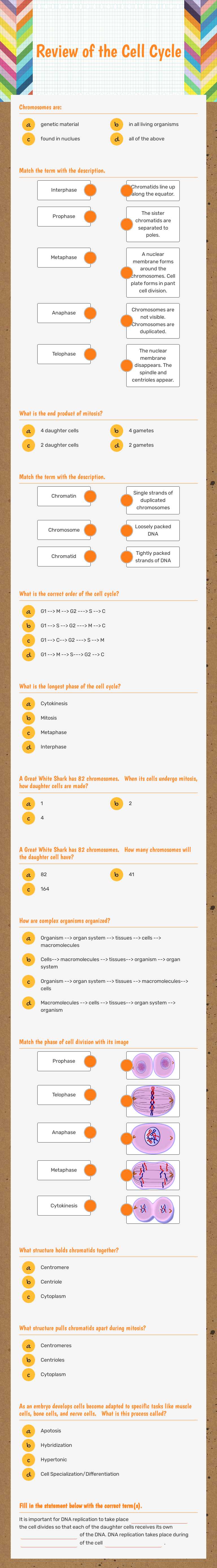Review of the Cell Cycle worksheet preview image