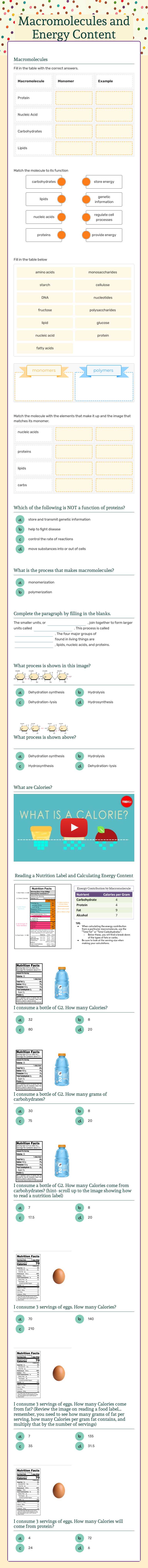 Macromolecules and Energy Content worksheet preview image