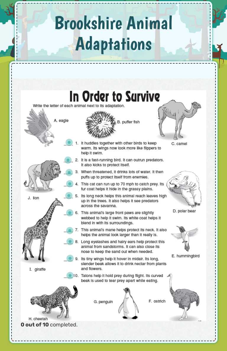 Brookshire Animal Adaptations worksheet preview image