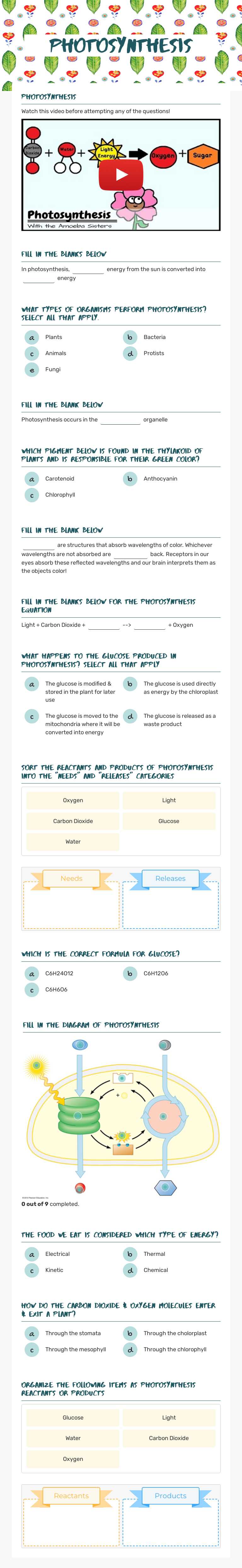 Photosynthesis worksheet preview image