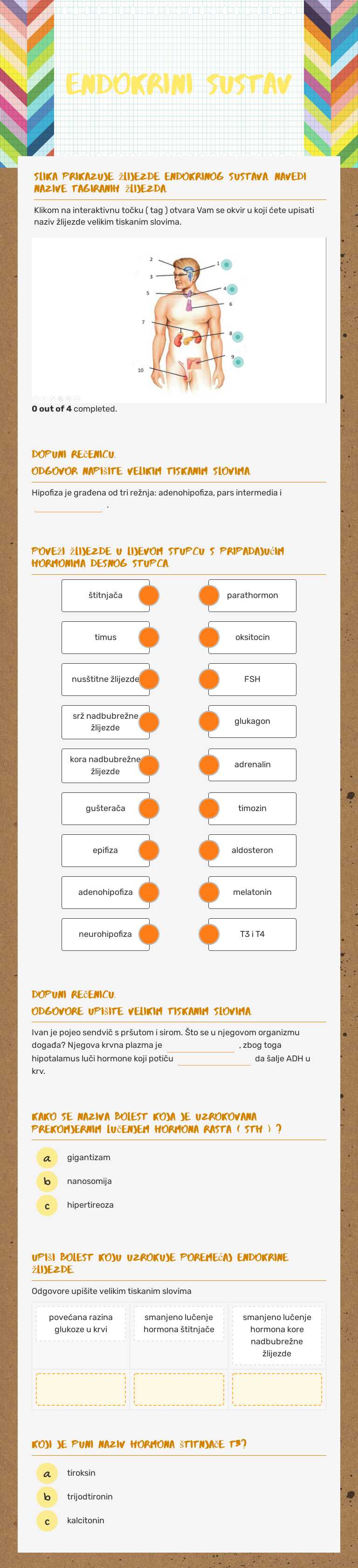 Endokrini sustav worksheet preview image
