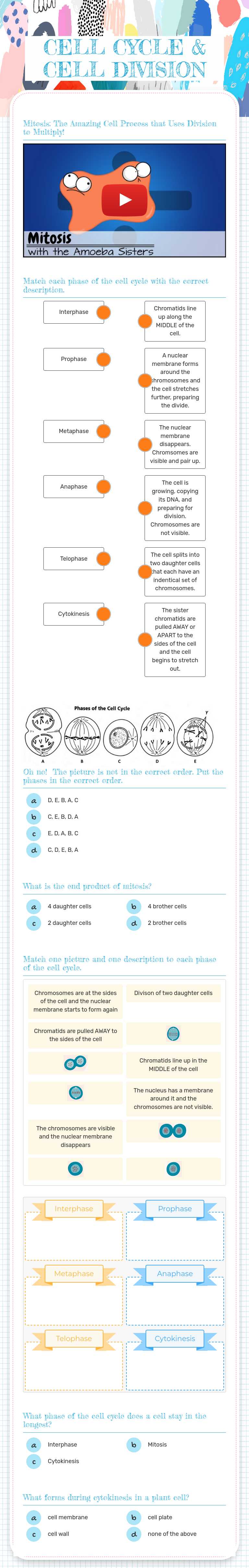 CELL CYCLE & CELL DIVISION worksheet preview image