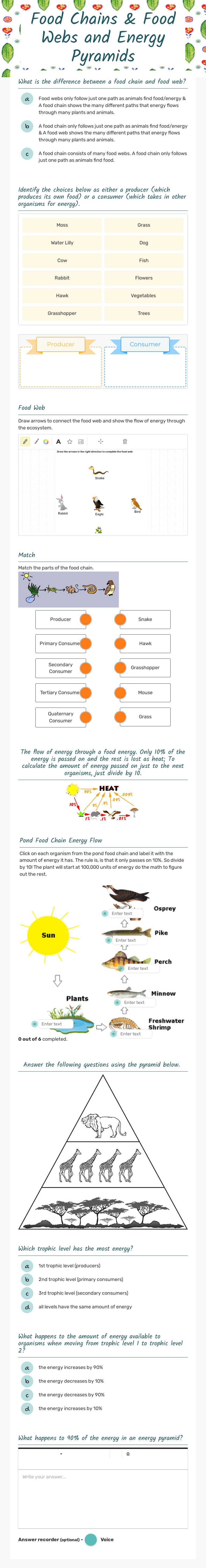 Food Chains & Food Webs and Energy Pyramids worksheet preview image