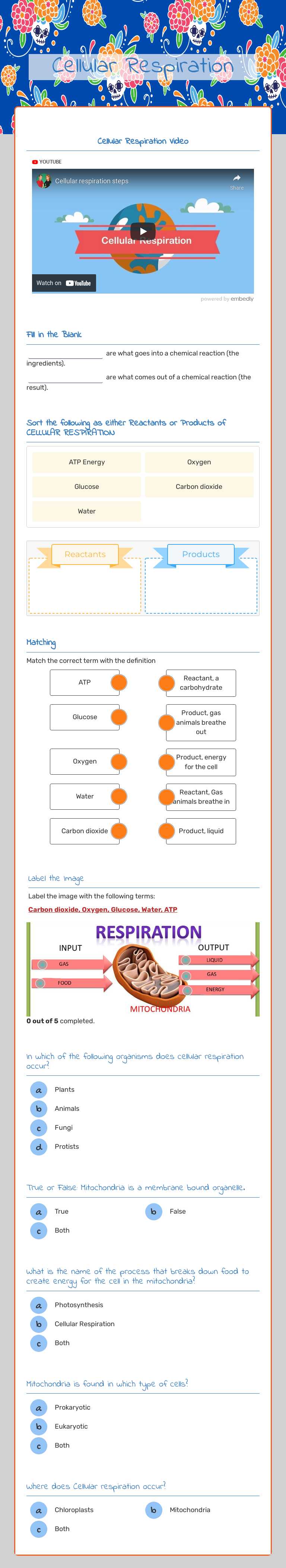 Cellular Respiration worksheet preview image