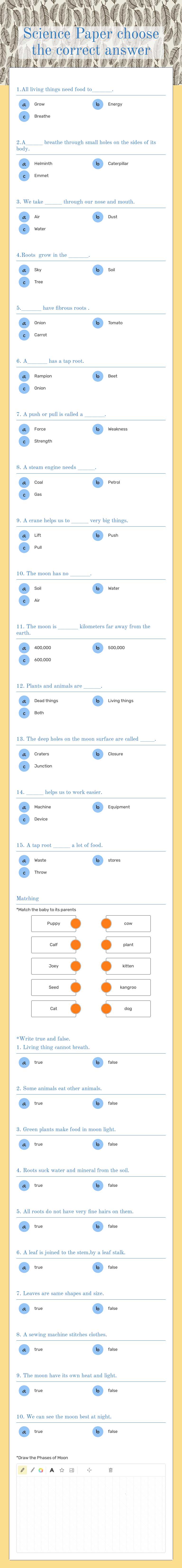 Science Paper                choose the correct answer worksheet preview image