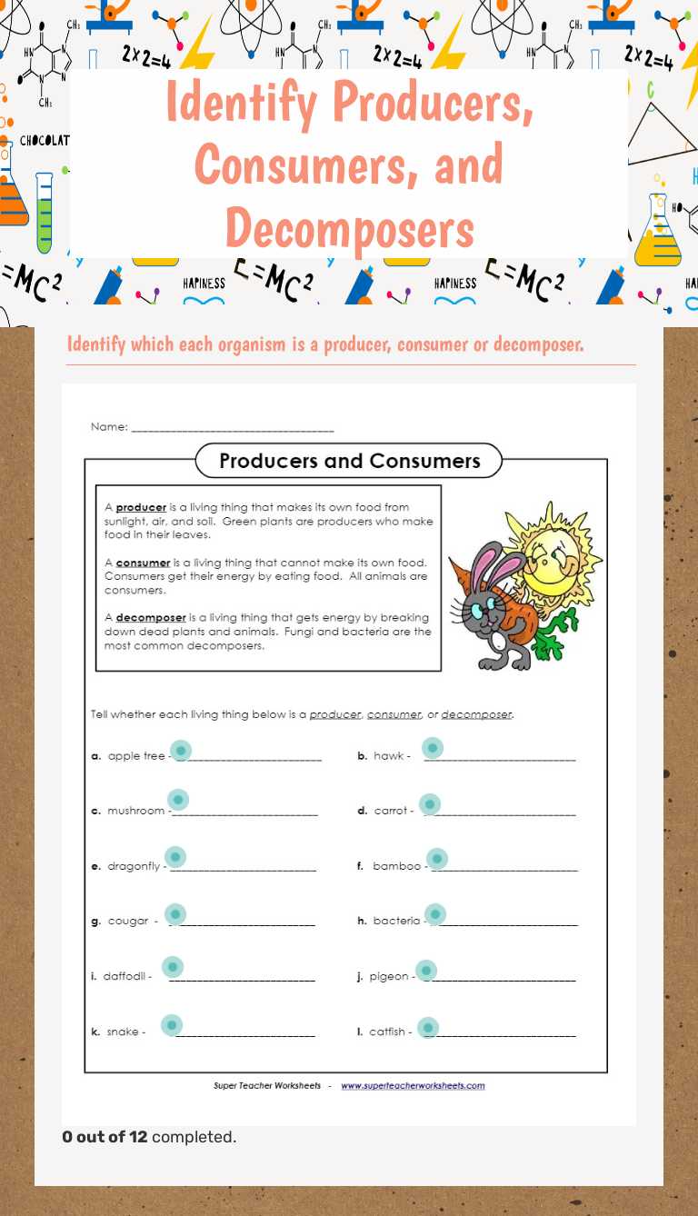 Identify Producers, Consumers, and Decomposers worksheet preview
