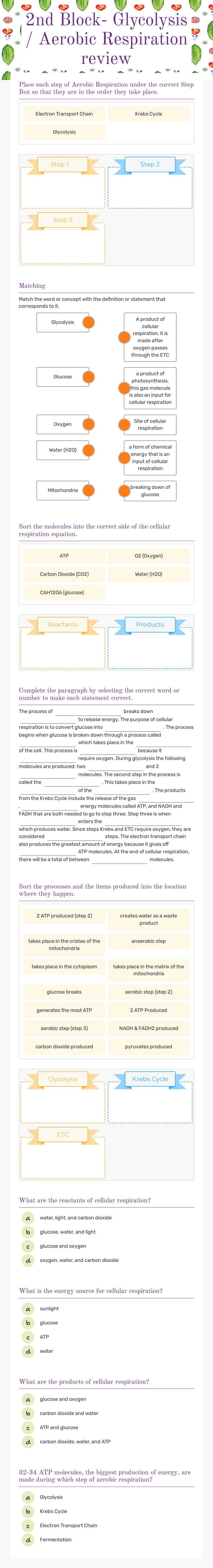 2nd Block- Glycolysis / Aerobic Respiration review Grade 10 worksheet preview