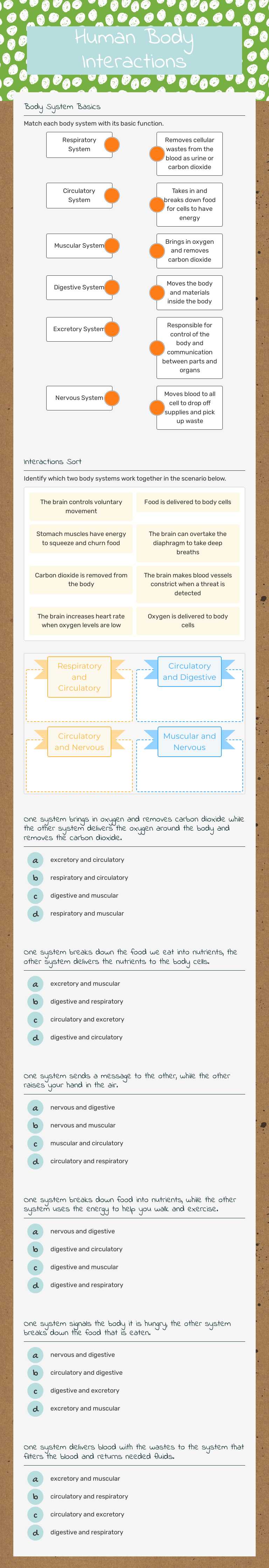 Human Body Interactions worksheet preview image