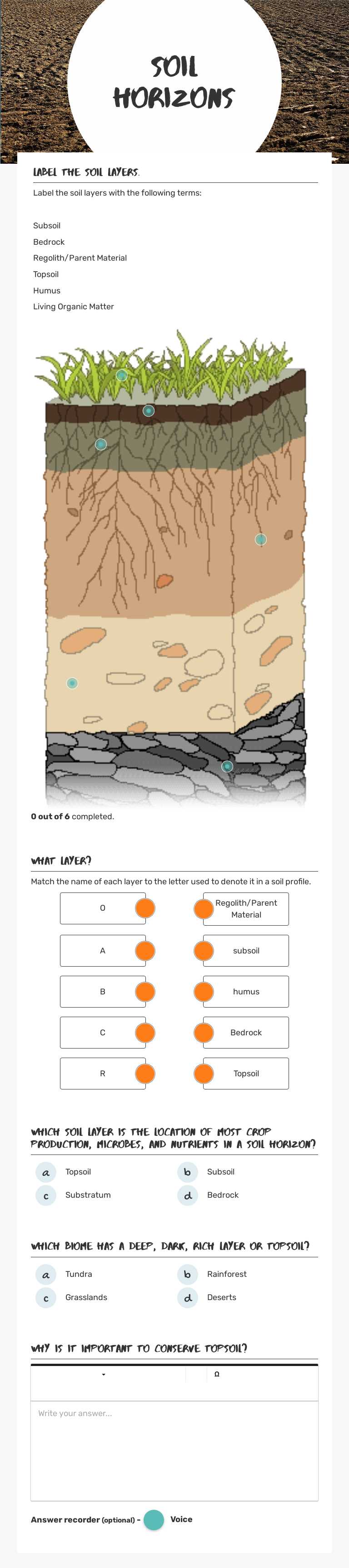 SOIL
Horizons Grade 8 worksheet preview