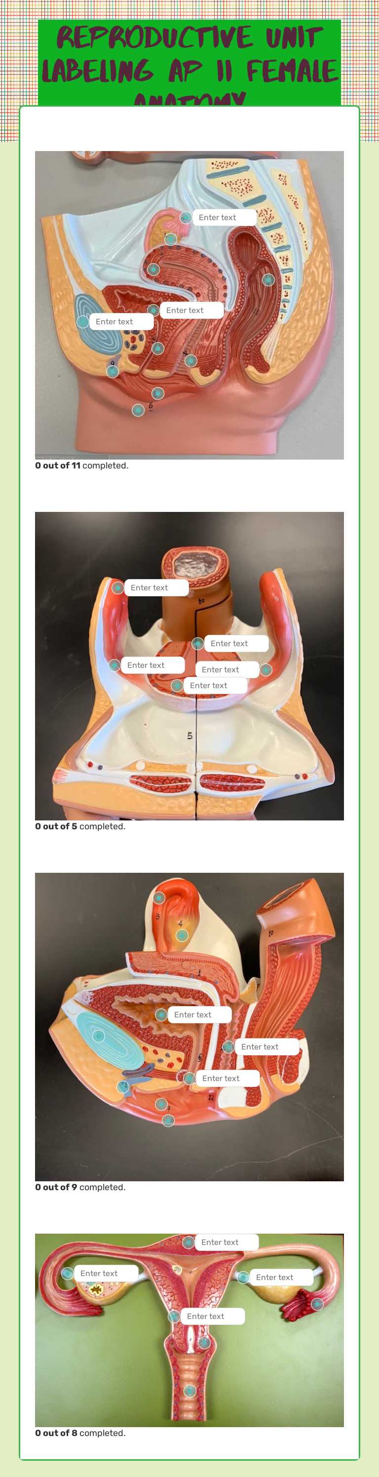 Reproductive Unit Labeling AP II female anatomy worksheet preview image