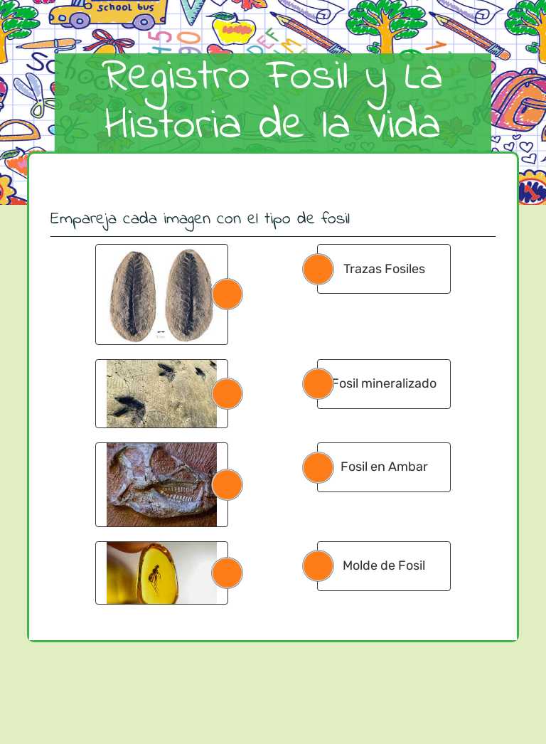 Registro Fosil y La Historia de la Vida worksheet preview image