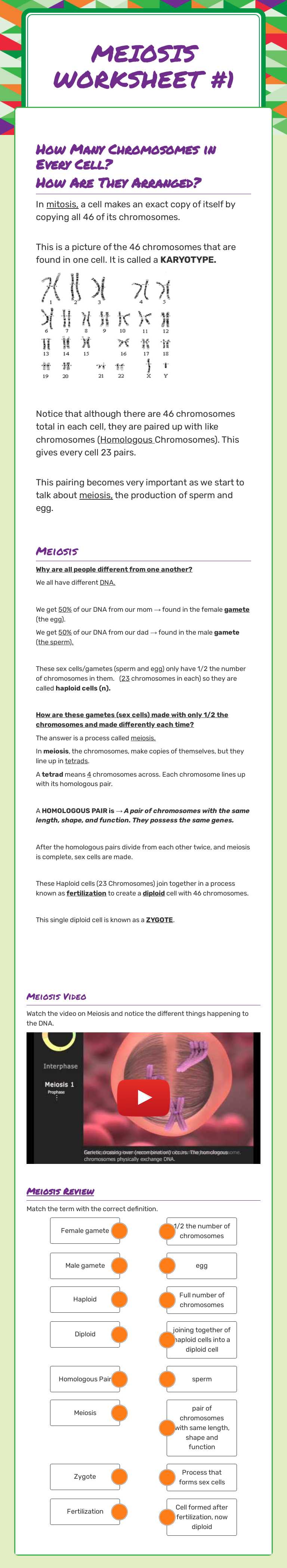 Meiosis
Worksheet #1 worksheet preview image