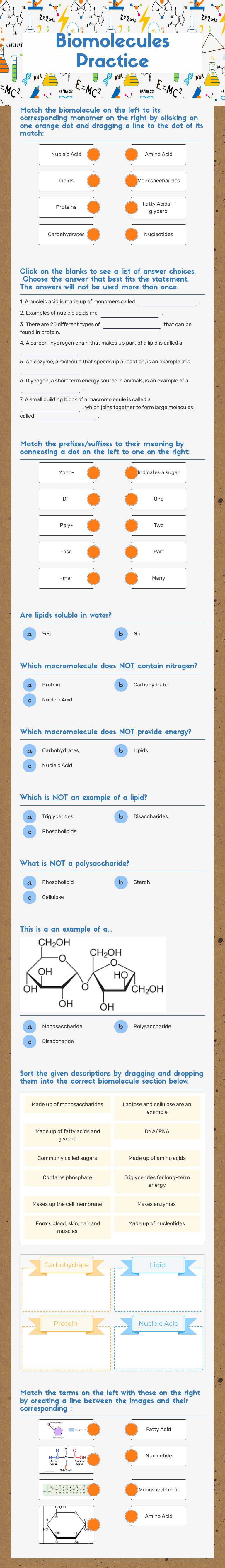 Biomolecules Practice worksheet preview image